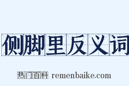 侧脚里反义词是什么意思的图片